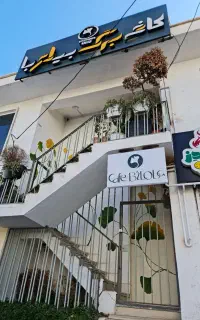 سالندار و باریستا