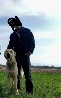 سگ نگهبان