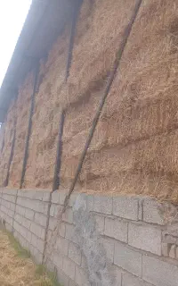 کاه گندم عدل زیر سایبان