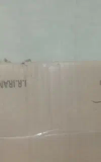 بذر قارچ دکمه ای