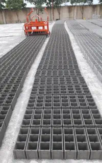 نیروی بلوک زن