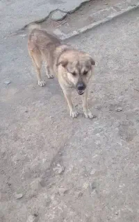 ۸۸۸۸