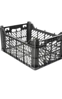 همکاری در کارگاه سبدسازی