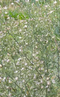 تور گردشگری