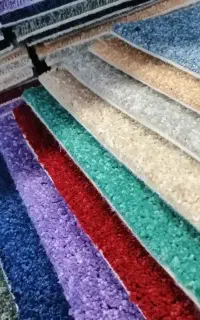 پادری موکت پالاز