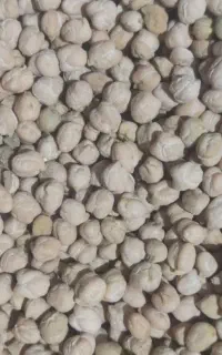 30 تن نخود خوب درجه یک