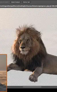 آموزش اتوکد رویت کتیا سالیدورک فتوشاپ ایلاستریتور