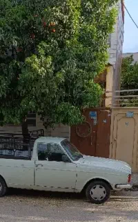 باربری وانت