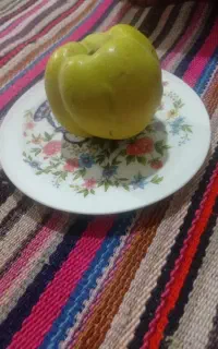 سیب و هیوا درجه یک کاملا اورگانیک