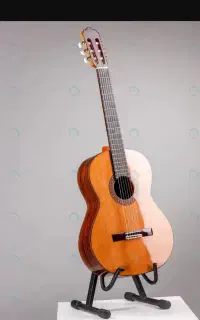 تدریس خصوصی گیتار