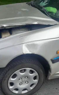 پژوپارس تصادفی۸۱