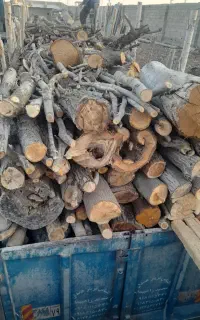 خریدار انواع چوب هیزمی صنعتی و...