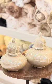جینجرجار جفتی ۲ عددی لاستر فروش ویژه شروع شد