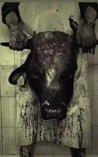 قصاب (ذبح گاو گوسفند در محل شما )