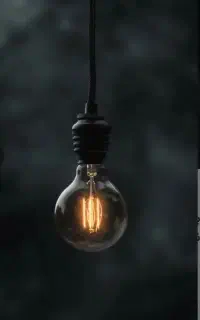 برقکاری سیار24 ساعته/رفع اتصالی/لاین نوری/لوستر