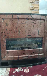 بخاری بزرگ