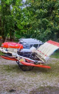 نشا کاری احمدی