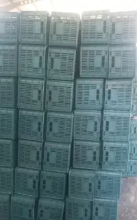 سبد۲۵کیلوی