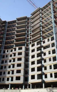 مهندس مجری نظام مهندسی