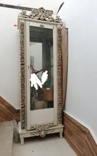 قفس
