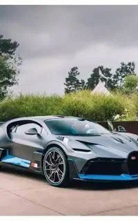 داوطلبانه