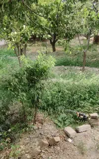 خانه باغ  ۶۰۰ متری در روستایی آرام و دنج