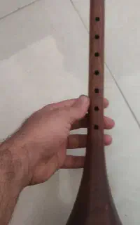 سرنا حرفه ای