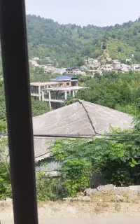 کافی نت امینی