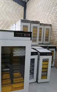 دستگاه جوجه‌کشی هدایت با آموزش کامل