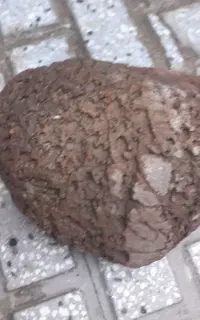 شهاب سنگ زیبا با وزن تقریبی ۴کیلو گرم