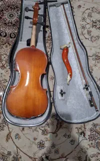 ویولن