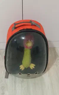 کیف حمل پت