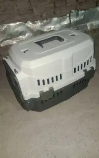 باکس سگ