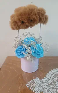 باکس گل شمعی