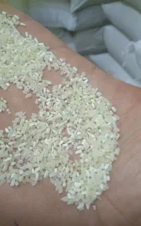 برنج شکسته