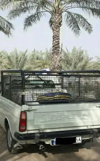 وانت بار