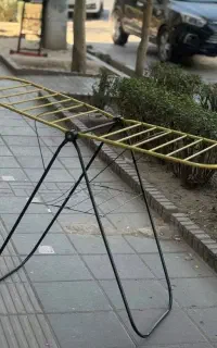 فروش عمده انواع بندرخت