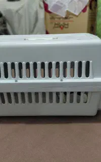 باکس سگ  فانتزی