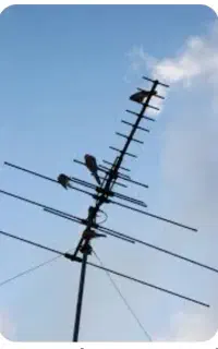 نصب نصاب آنتن حق پناه