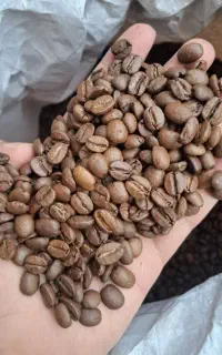 دون و پودر قهوه ۱۰۰ روبستا ۷۰ ۳۰ ۸۰ ۳۰