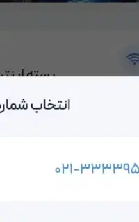 شماره ۳۳۳۳۹۵۰۰