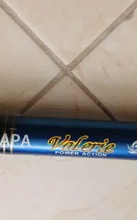 لنسرماهیگیری