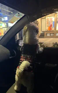 استخدام نیرو کمکی منزل