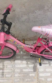 دوچرخه