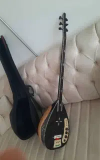 باغلمه الکترونیکی
