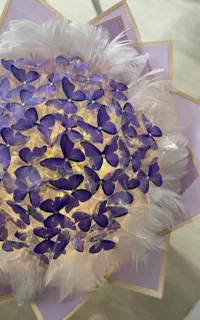 گل ربانی و پروانه ای