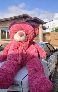 عروسک خرسی ۱۸۰ سانتی