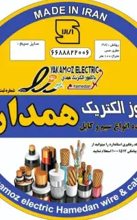 استخدام ویزیتور