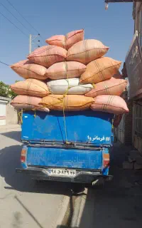 خرید کاه گندم و جو روی زمین(خرمن)