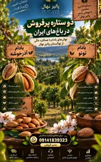 فروش بادام پیوندی دو ساله